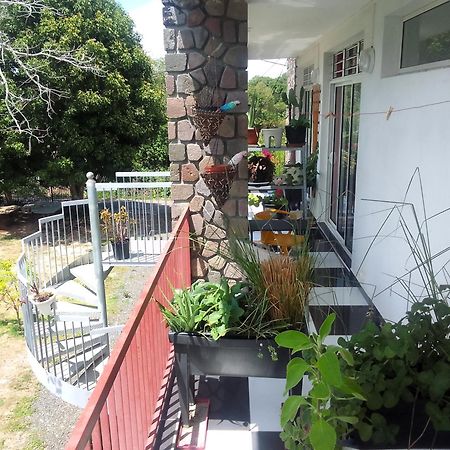 Chambre Avec Cuisine Et Sdb Semi-Privatives Separees Dans Un Ecrin De Verdure 레자빔 외부 사진