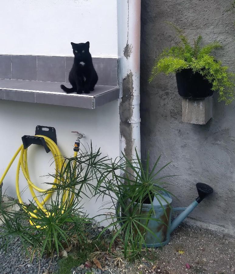 Chambre Avec Cuisine Et Sdb Semi-Privatives Separees Dans Un Ecrin De Verdure 레자빔 외부 사진